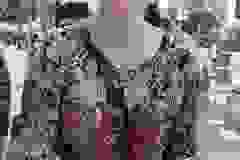 447748579_468579262521748_83755270804494825_n