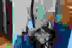 447766769_468577485855259_9148879418427311913_n